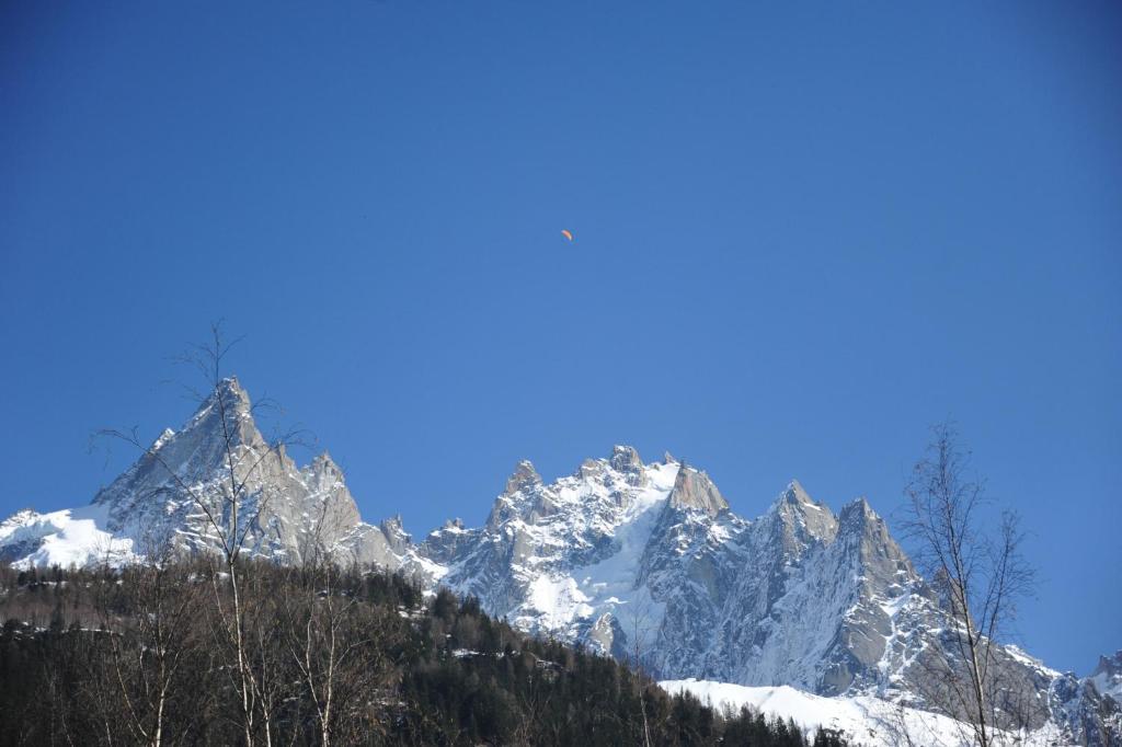 Mont Blanc Spa Chalet Bnb Chamonix Exterior foto